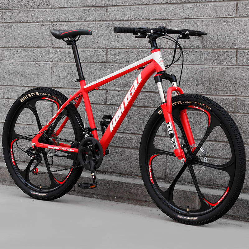 Mountain Bike 24/26 Inch Disc Brake with Shock Absorption