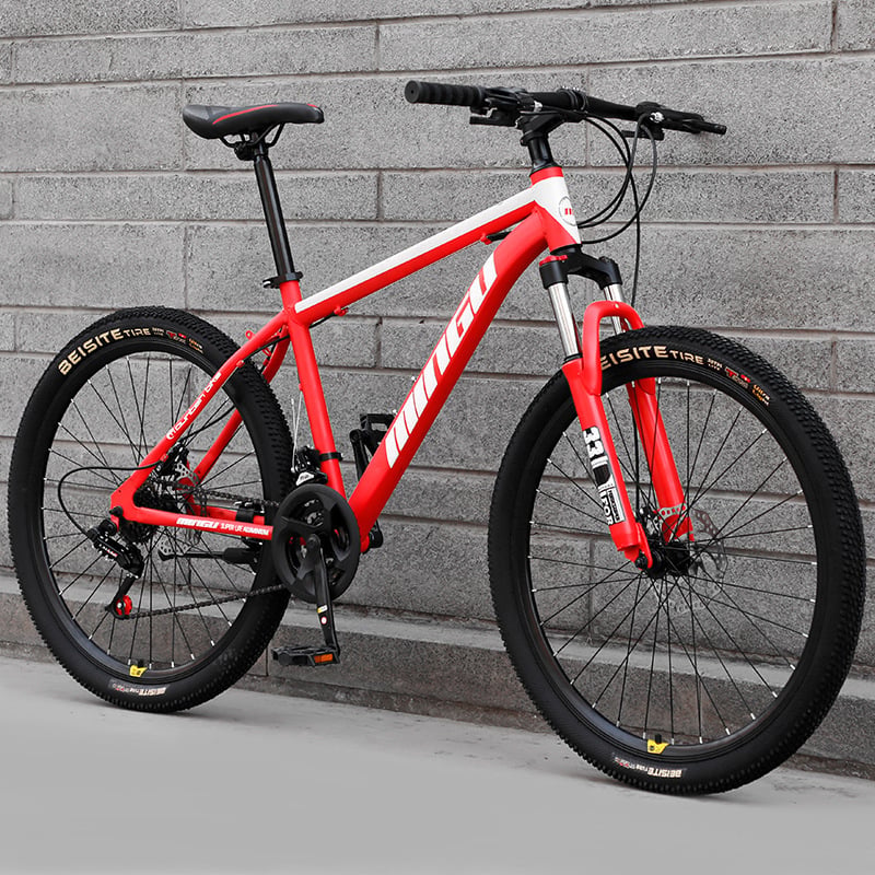 Mountain Bike 24/26 Inch Disc Brake with Shock Absorption